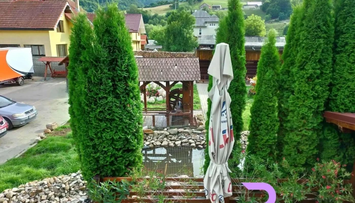 Filonul De Aur -  Program - Abrud