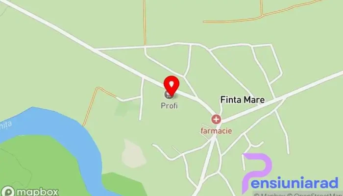 Finta Mare -  Hartă - Finta Mare