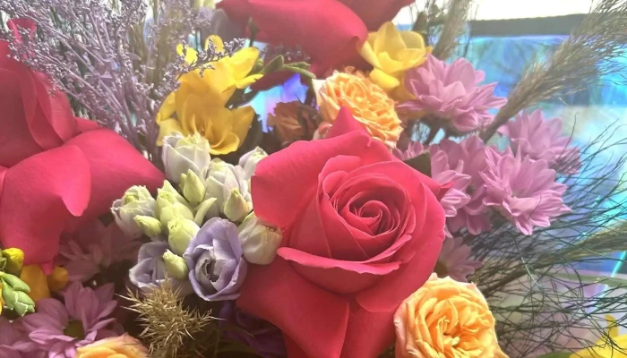 Flori In Culori Sendreni Instagram - Șendreni