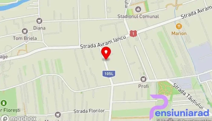 Florăria Hanca -  Florești 1 - Florești