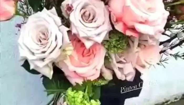 Florăria Hanca -  Florești 4 - Florești