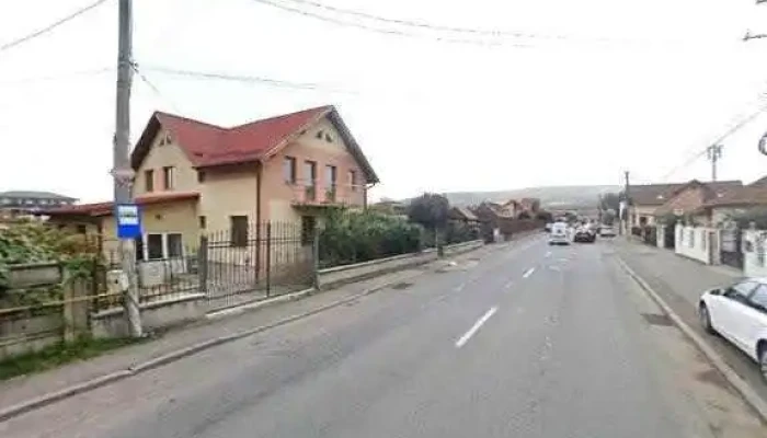 Florăria Hanca -  Florești 7 - Florești