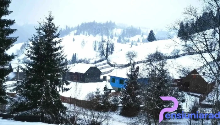 Flower Bell Ghimes Faget Videoclipuri - Bolovăniș