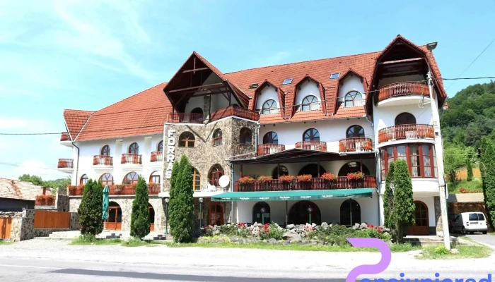 Forras Panzio Izvorul Zonă - Corund