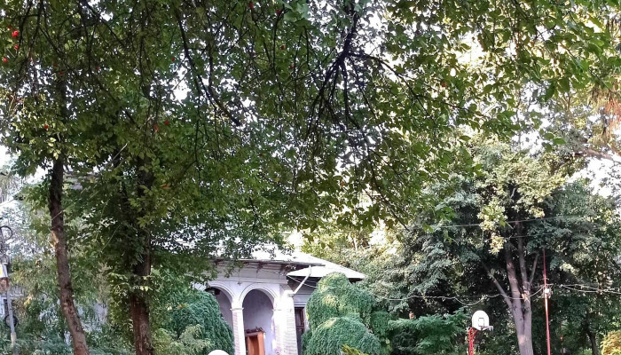 Gaesti Fotografii - Găești