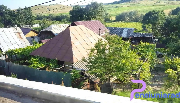 Gaiceana Adresă - Găiceana