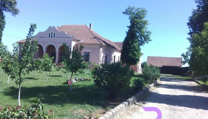 Galospetreu Prețuri - Galoşpetreu