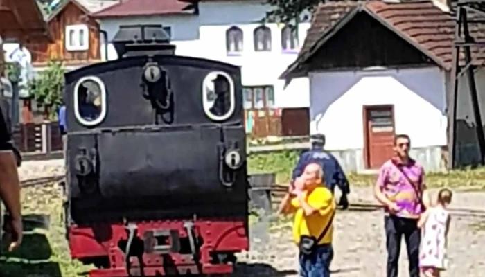 Gara Mocanita Hutulca Moldovita Munte - Moldovița