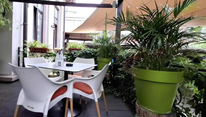 Garden Pub -  Telefon - Pitești