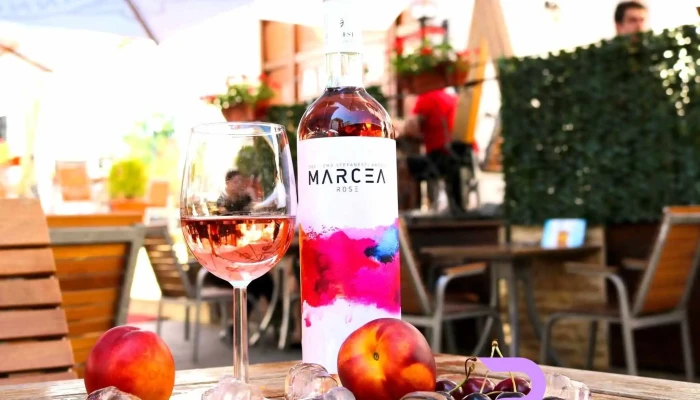 Garden Pub -  Vin - Pitești