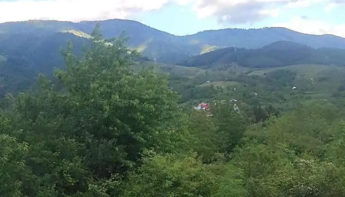Gaujani Unde - Găujani