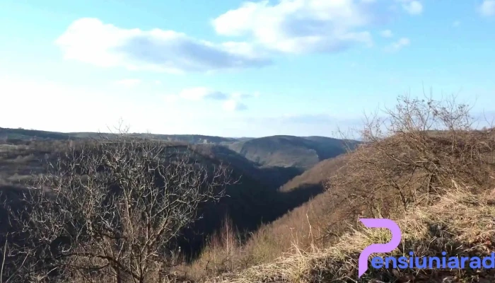 Ghelari -  Videoclipuri - Ghelari