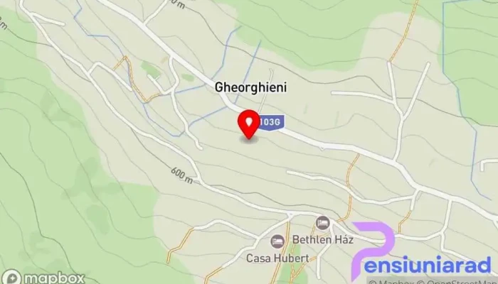 Gheorghieni -  Hartă - Gheorghieni