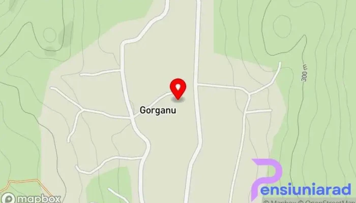 hartă a Gorganu  în Gorganu