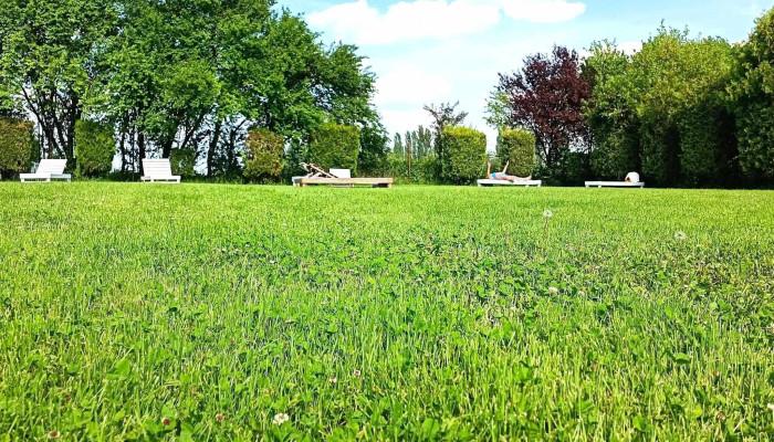 Gradina Termala - Dorobanţi