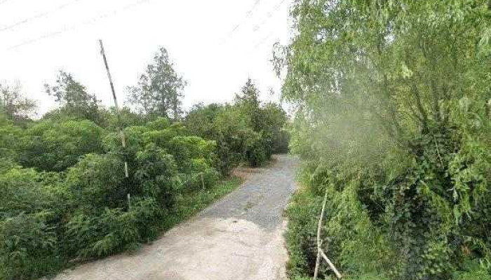 Gradina Termala -  Street View Si 360deg - Dorobanţi