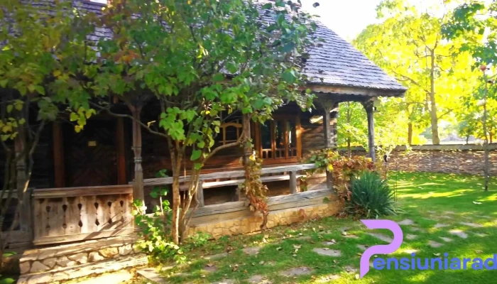 Gradina Vlahiia Videoclipuri - Snagov