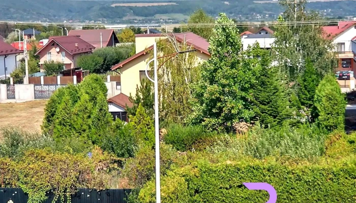 Grandis Apulum -  Adresă - Mioveni