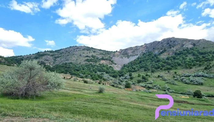 Greci - România