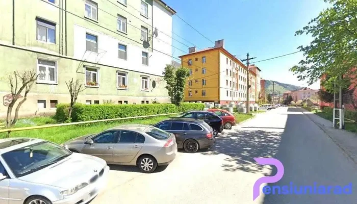 Green forest - Petrila 335800