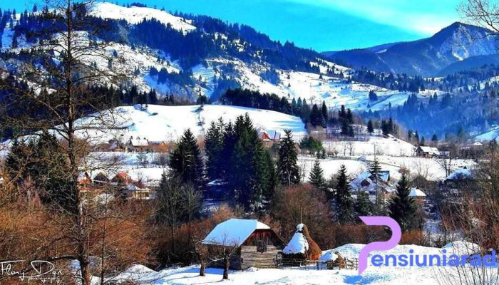 Green House -  De La Proprietar - Podu Dâmboviței