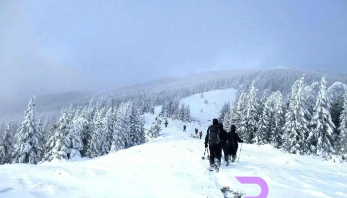 Grinties Munte - Grințieș