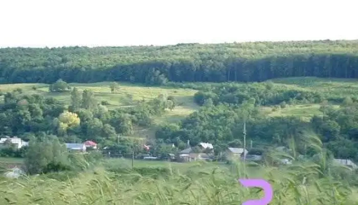 Gulia - Gulia