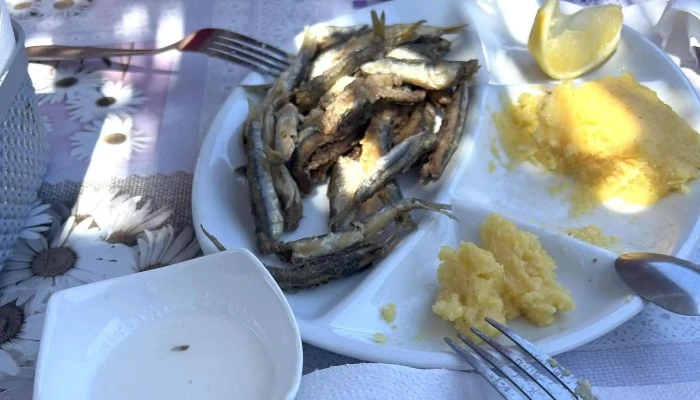 Gura De Rai -  Reduceri - Tuzla