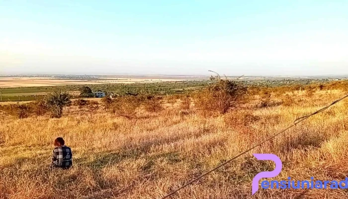 Gura Vadului -  Videoclipuri - Gura Vadului