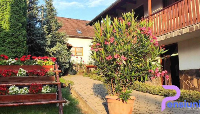 Gyongyvirag Panzio Cum Să Ajungi Acolo - Lupeni