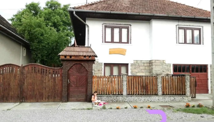 Gyongyvirag Panzio Exterior - Lupeni