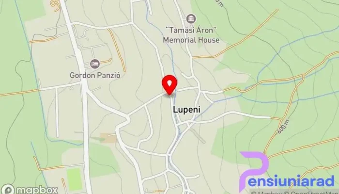 Gyongyvirag Panzio Hartă - Lupeni