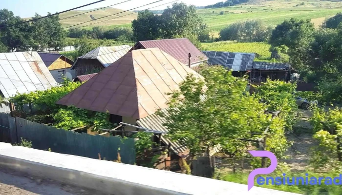 Găiceana - Găiceana