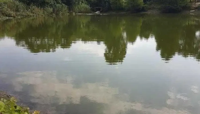 Găneasa - Găneasa