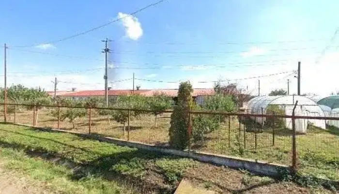 Haditon Group Srl Cum Să Ajungi Acolo - Bârla