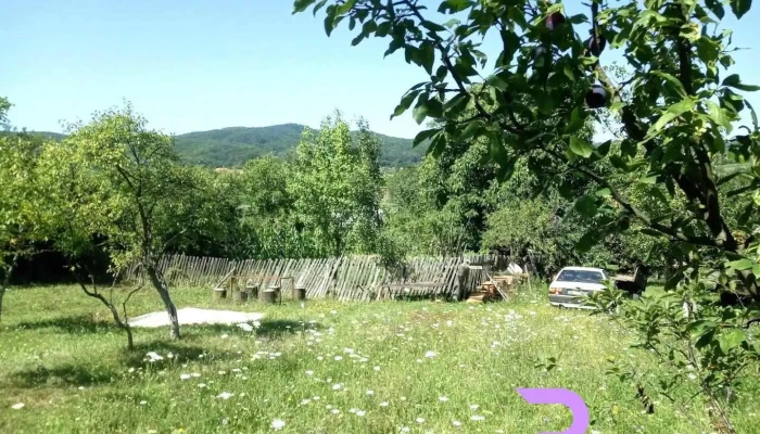 Halmăşd - Halmăşd
