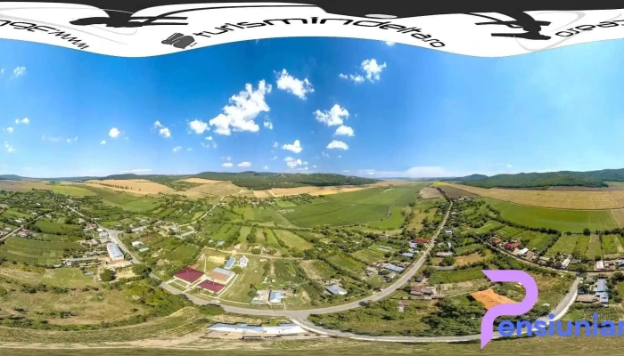 Hamcearca - Hamcearca