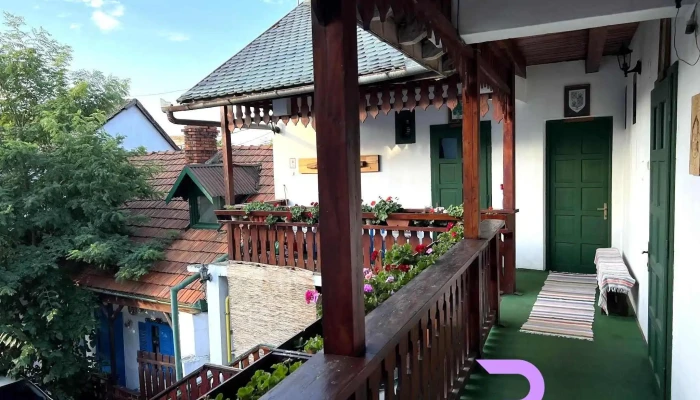 Han Gobe -  Instagram - Oradea