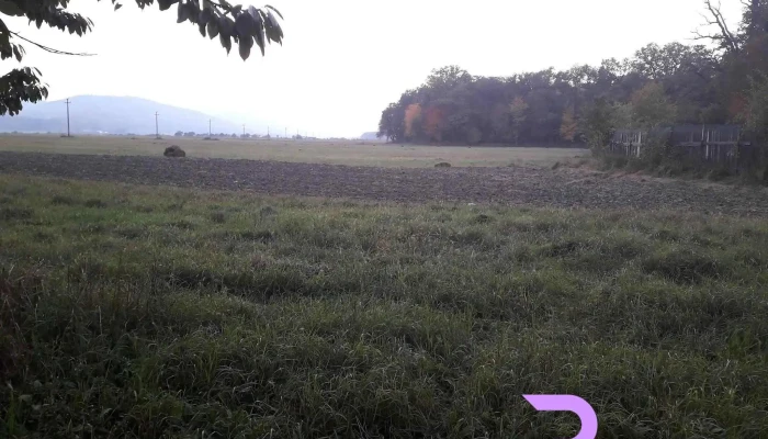 Han Rustic -  Rezervatia De Zimbri Si Fauna Carpatina Dragos Voda - Vânători-neamț