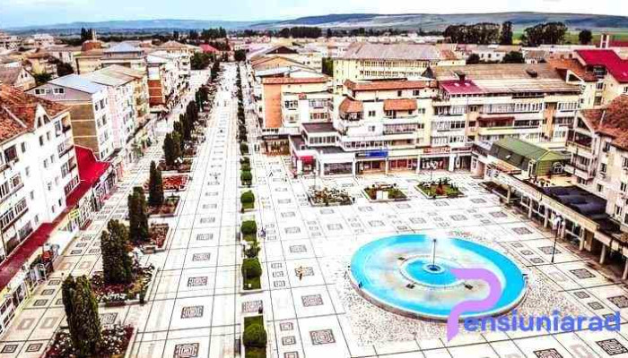 Han Turistic -  Zonă - Târgu Frumos