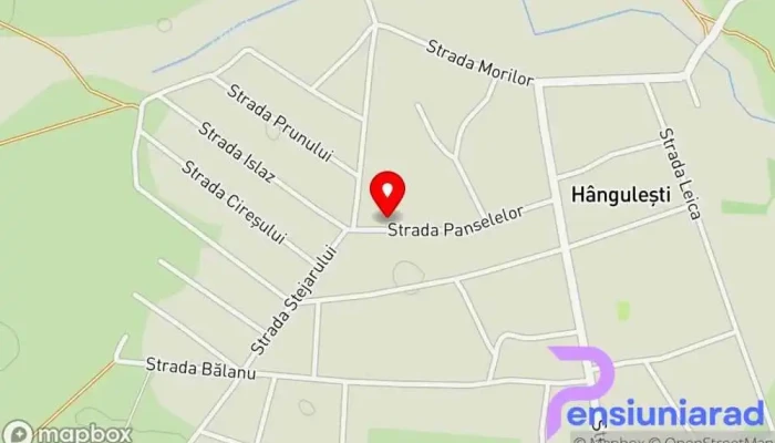 Hangulesti Hartă - Hânguleşti