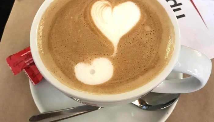 Hanu Berarilor Casa Elena Lupescu Cappuccino - București