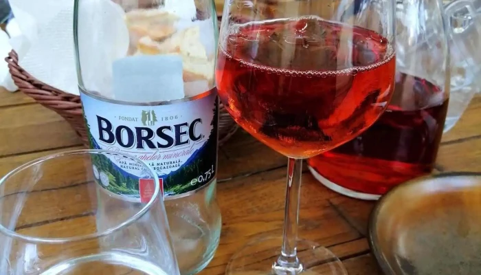 Hanu Berarilor Casa Elena Lupescu Vin - București