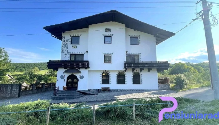 Hanul Almas -  De La Vizitatori - Almașu Sec