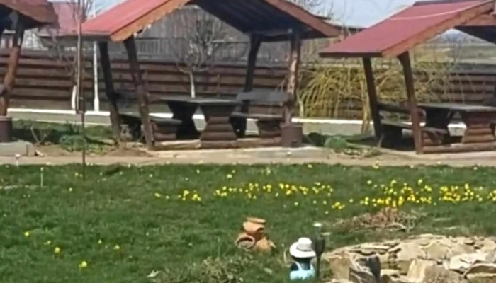 Hanul Andri Popa Sc Afimeg Srl -  Site Web - Valea Seacă