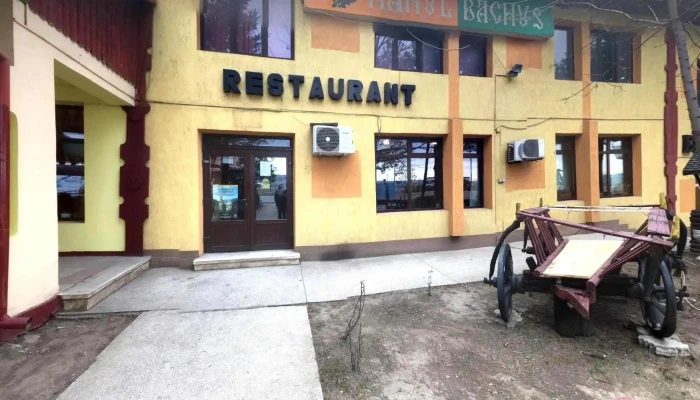 Hanul Bachus -  Street View Si 360deg - Popești