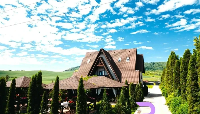 Hanul Cavalerului -  De La Proprietar - Onești