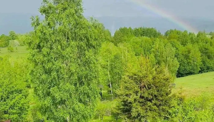 Hanul Cu Mesteceni -  Cazare Pensiune Muntii Sureanu De La Proprietar - Hunedoara