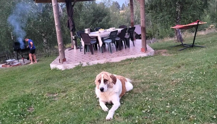 Hanul Cu Mesteceni -  Cazare Pensiune Muntii Sureanu Promoție - Hunedoara