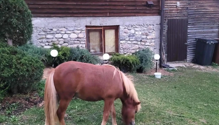 Hanul Cu Mesteceni -  Cazare Pensiune Muntii Sureanu Reduceri - Hunedoara